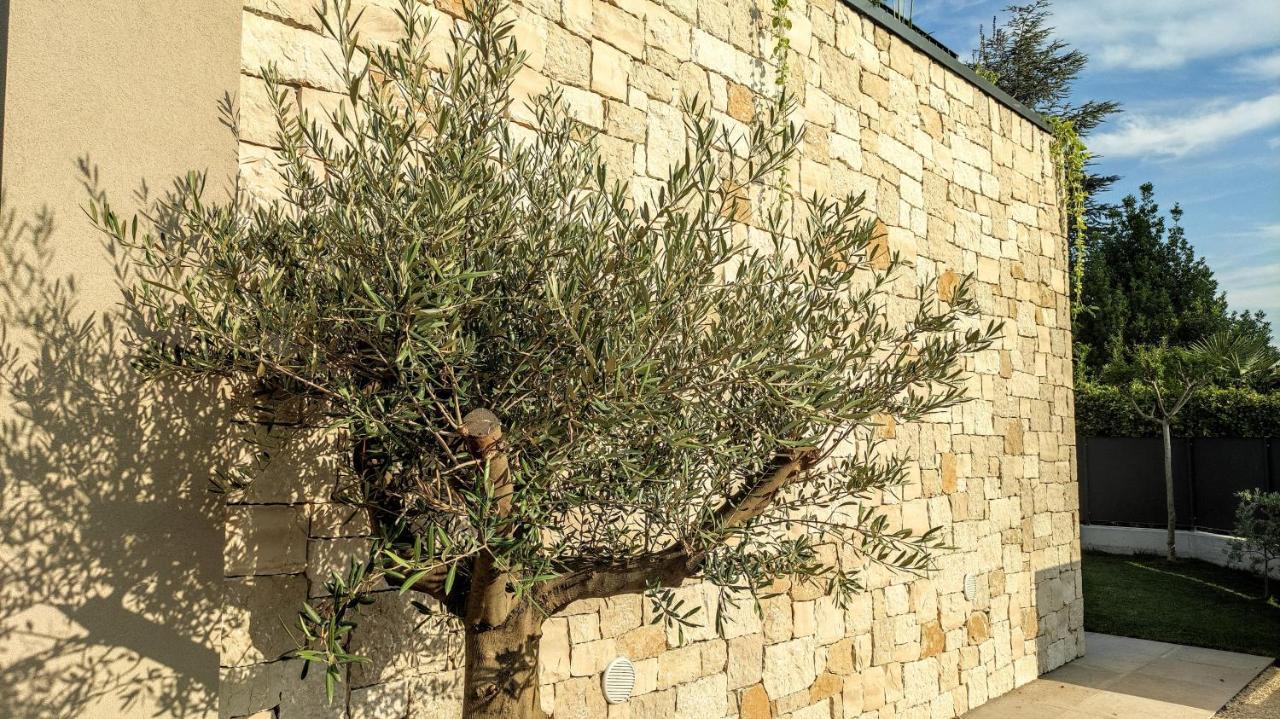 Villa Agapanto Pacengo Di Lazise Exterior foto